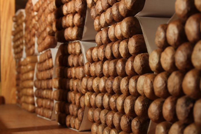 Bundled cigars resting during the aging process