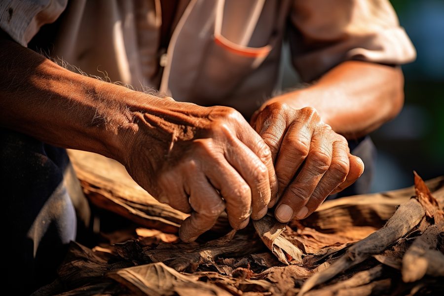 Hands working tobacco leaf at the factory